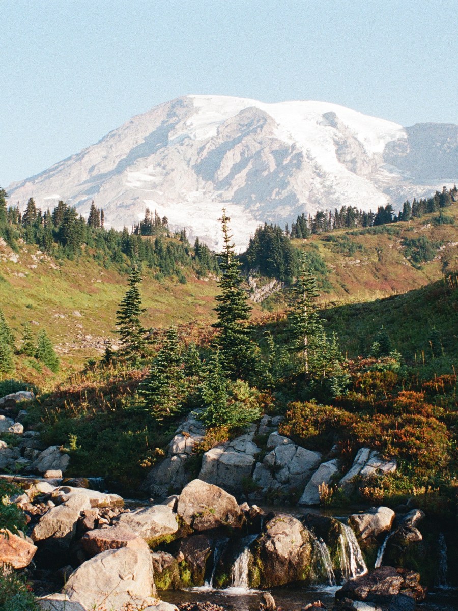 mount rainier national&nbsp;park