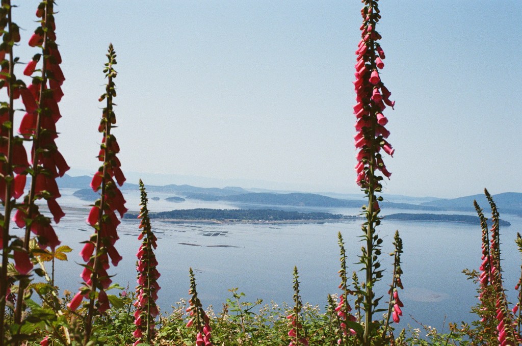 blanchard state forest