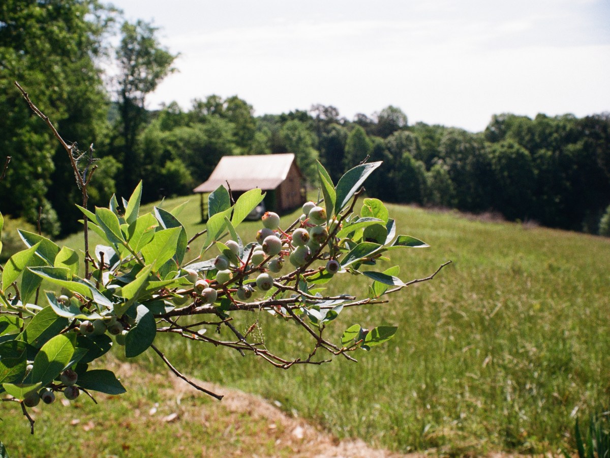 old nacoochee turnpike pt&nbsp;ii